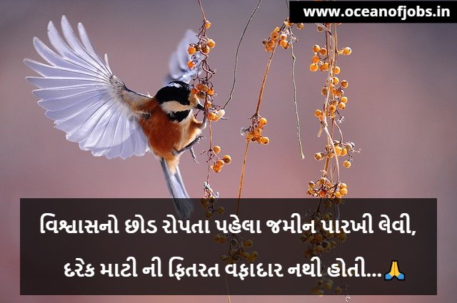 Life Quotes in Gujarati
